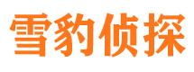 宁化侦探公司